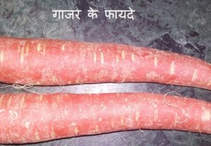 Carrot in hindi | |Gajar ke fayde | | Gajar ke fayde in hindi