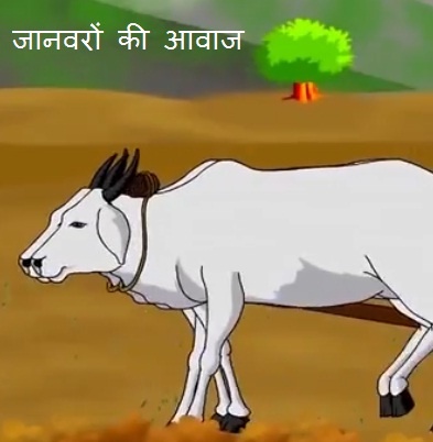 knowledge story in hindi | जानवरों की आवाज हिंदी कहानी