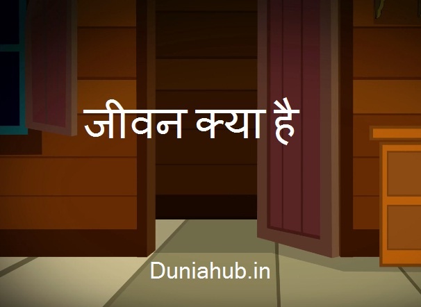 life in hindi.jpg