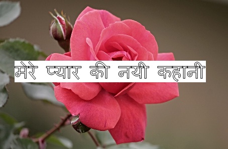 My new love stories in hindi.jpg